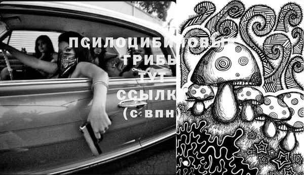 бутират Абинск