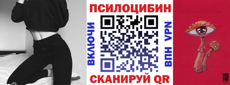 mega рабочий сайт  Ефремов  Галлюциногенные грибы Cubensis  сколько стоит 