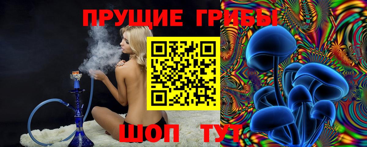 Галлюциногенные грибы Psilocybe  Вход с VPN  Ефремов  купить   Галлюциногенные грибы мухоморы 